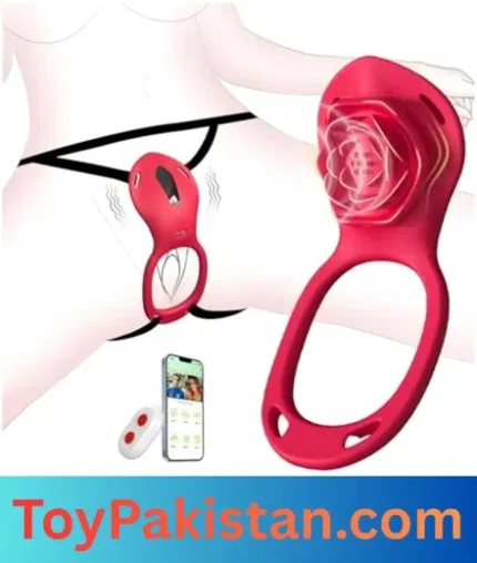 best sex toys in pakistan (1)